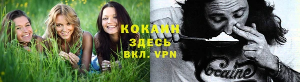эйфоретик Алексеевка