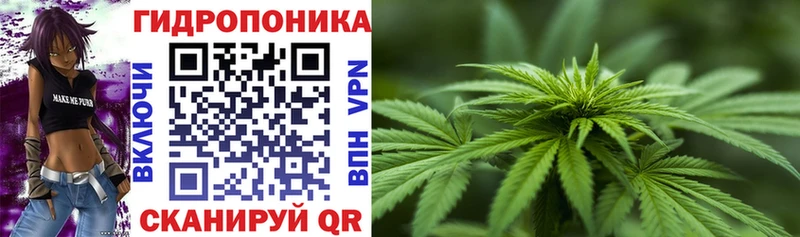 кракен зеркало  даркнет сайт  Аша  Канабис VHQ 